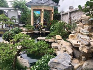 Cảnh Quan Sân Vườn Hồ Cá Koi Bình Dương (18)