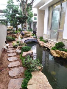 Cảnh Quan Sân Vườn Hồ Cá Koi Bình Dương (19)