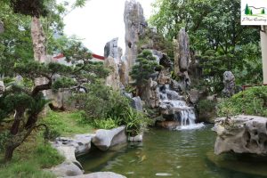 Cảnh Quan Sân Vườn Hồ Cá Koi Bình Dương (32)