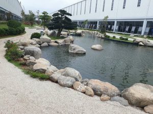 Cảnh Quan Sân Vườn Hồ Cá Koi Bình Dương (36)