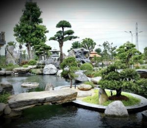 Cảnh Quan Sân Vườn Hồ Cá Koi Bình Dương (39)