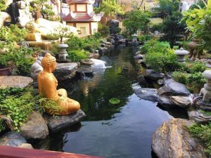 Cảnh Quan Sân Vườn Hồ Cá Koi Bình Dương 41 (14)