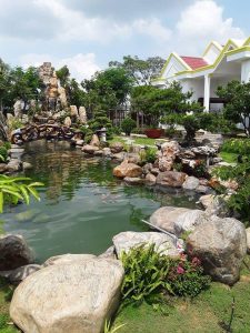 Cảnh Quan Sân Vườn Hồ Cá Koi Bình Dương 41 (16)