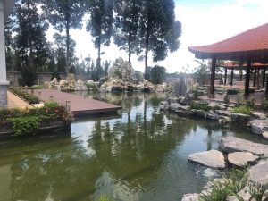Cảnh Quan Sân Vườn Hồ Cá Koi Bình Dương (8)
