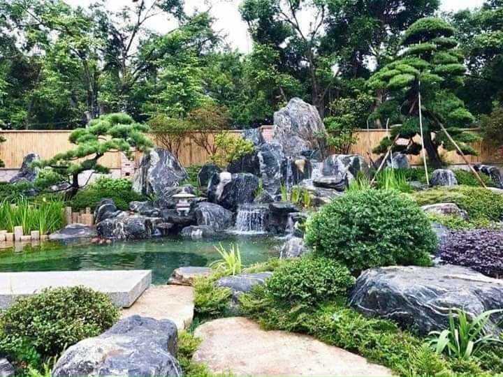 Trang Chủ