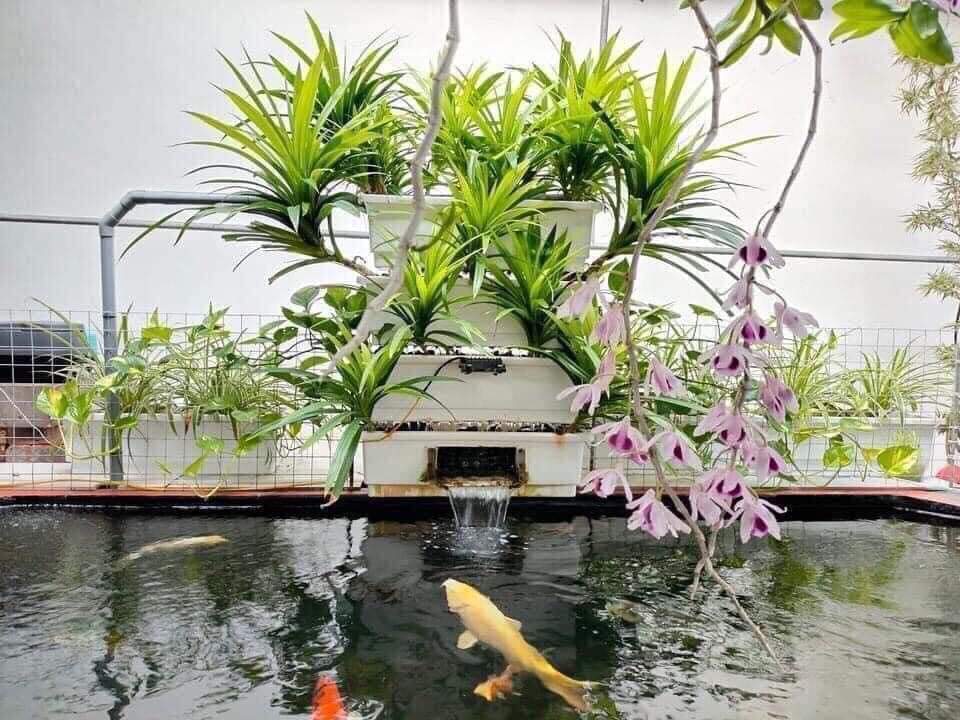 Trang Chủ