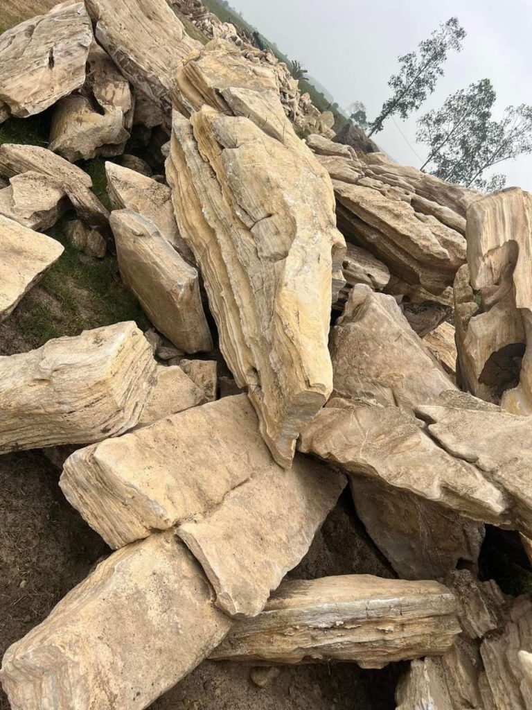 Đá Cổ Thạch Bình Dương