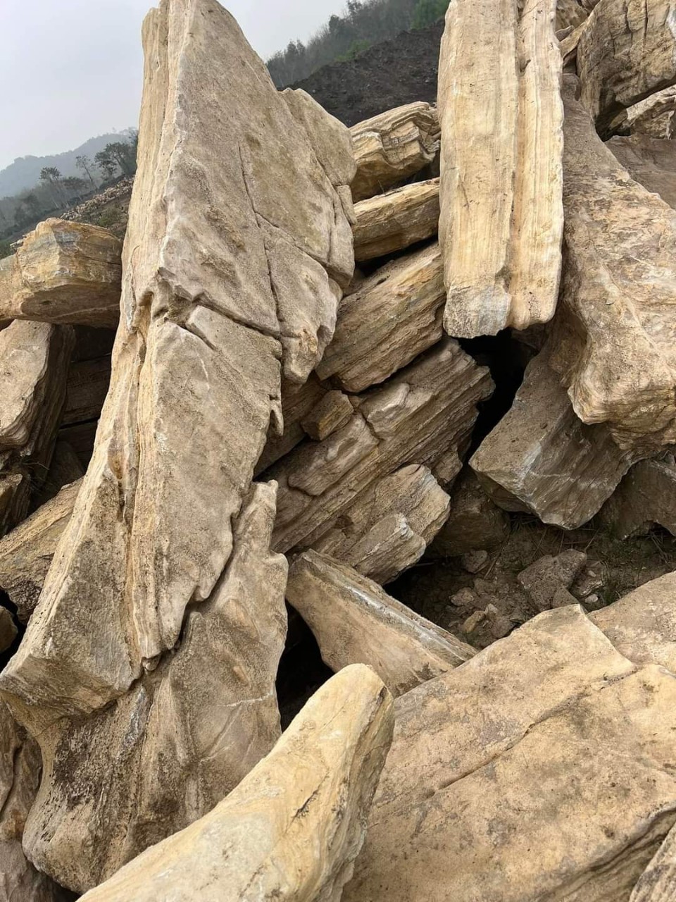Đá Cổ Thạch Bình Dương