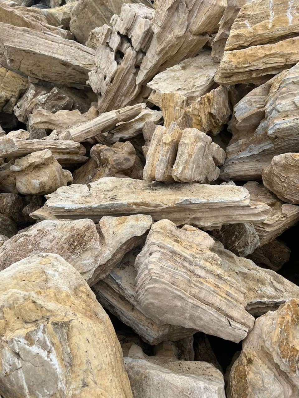 Đá Cổ Thạch Bình Dương