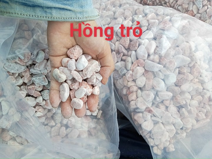 Sỏi đá Bình Dương
