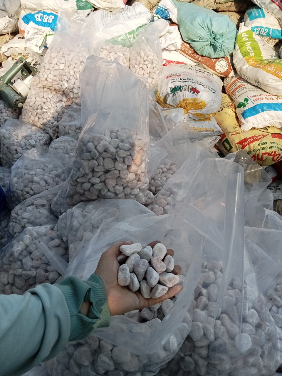 Sỏi đá Bình Dương