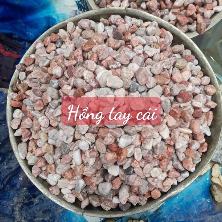 Sỏi đá Bình Dương