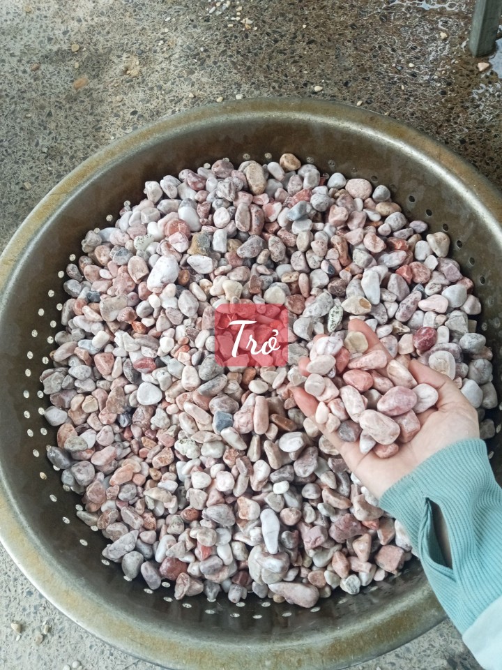 Sỏi đá Bình Dương