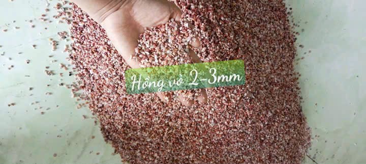 Sỏi đá Bình Dương