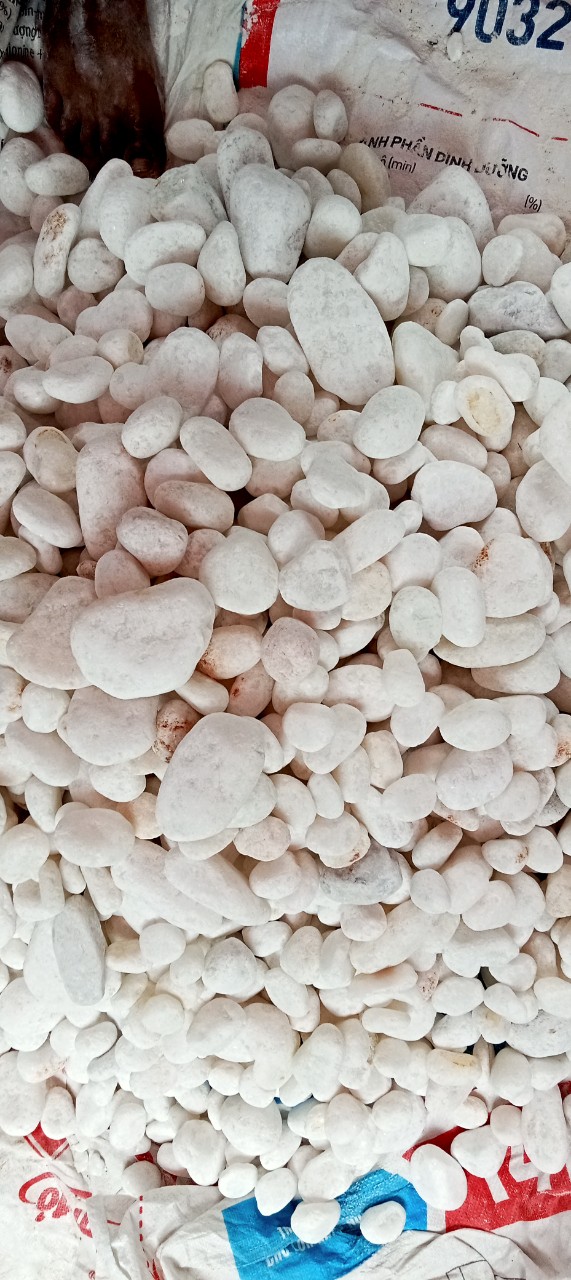 Sỏi đá Bình Dương