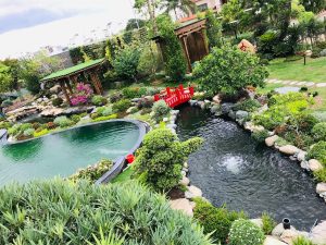 Thiết Kế Hồ Cá Koi Bình Dương