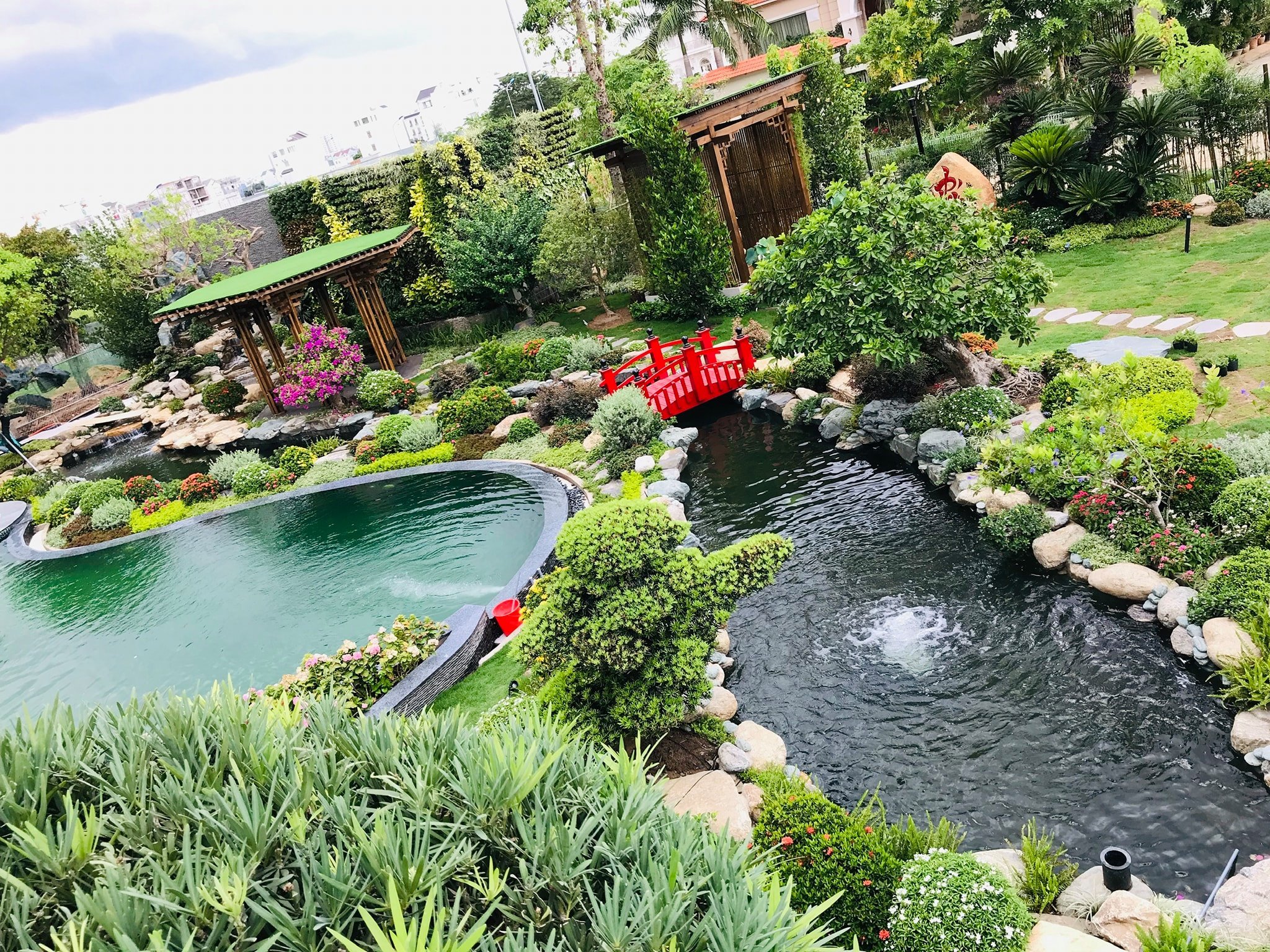 Thiết Kế Hồ Cá Koi Bình Dương