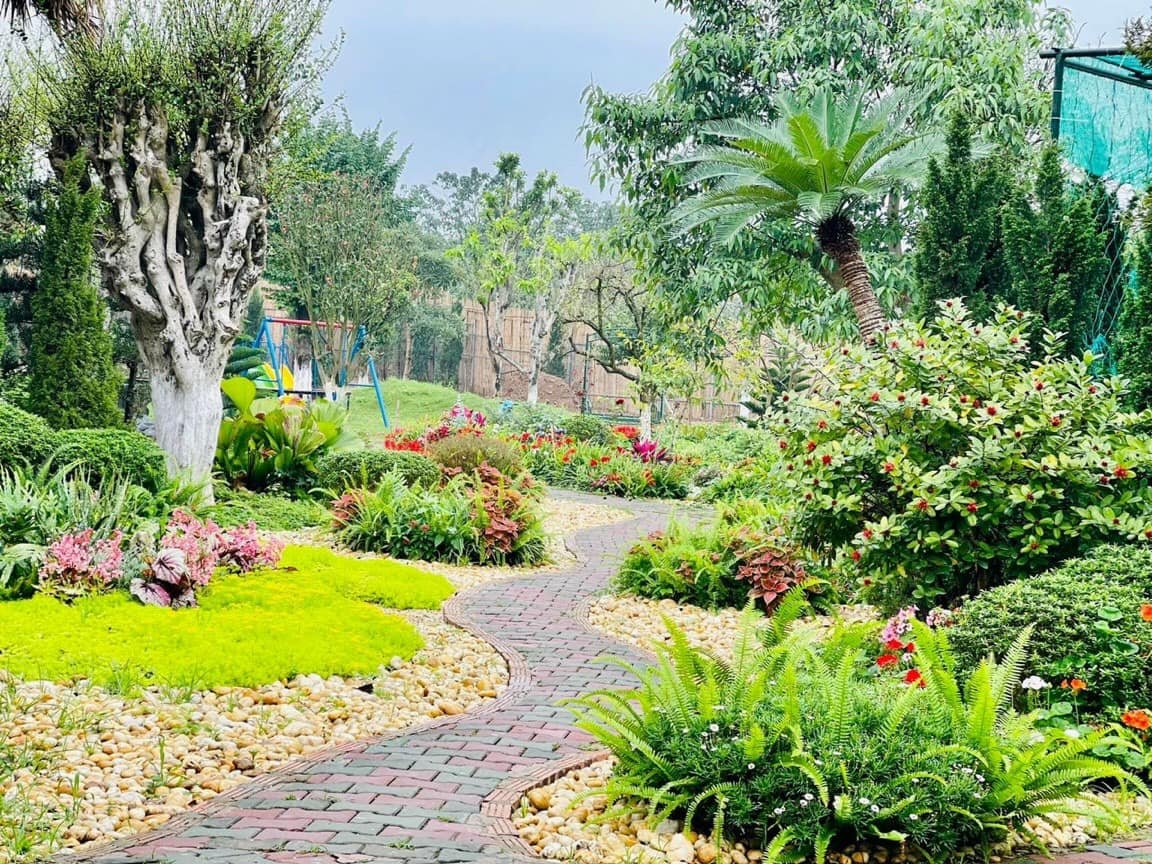 Thiết Kế Sân Vườn Bình Dương (13)