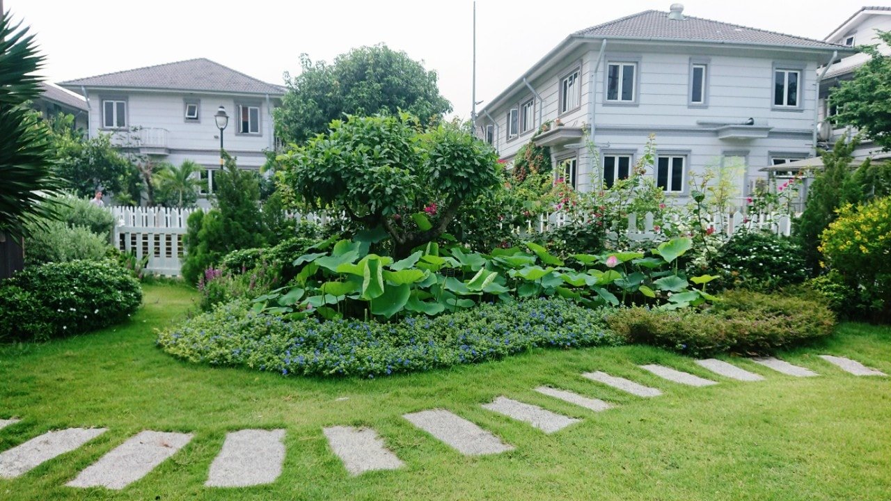 Thiết Kế Sân Vườn Bình Dương (4)