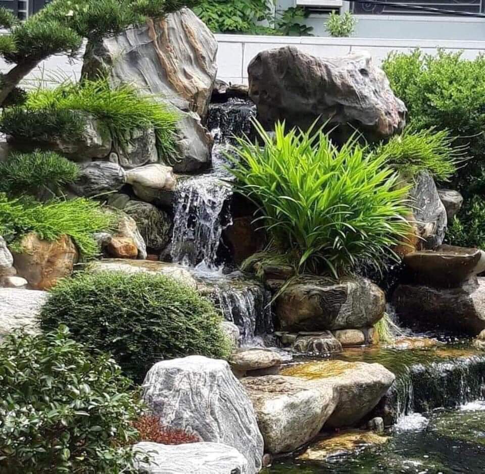 Thiết Kế Thi Công Hồ Cá Koi Bình Dương